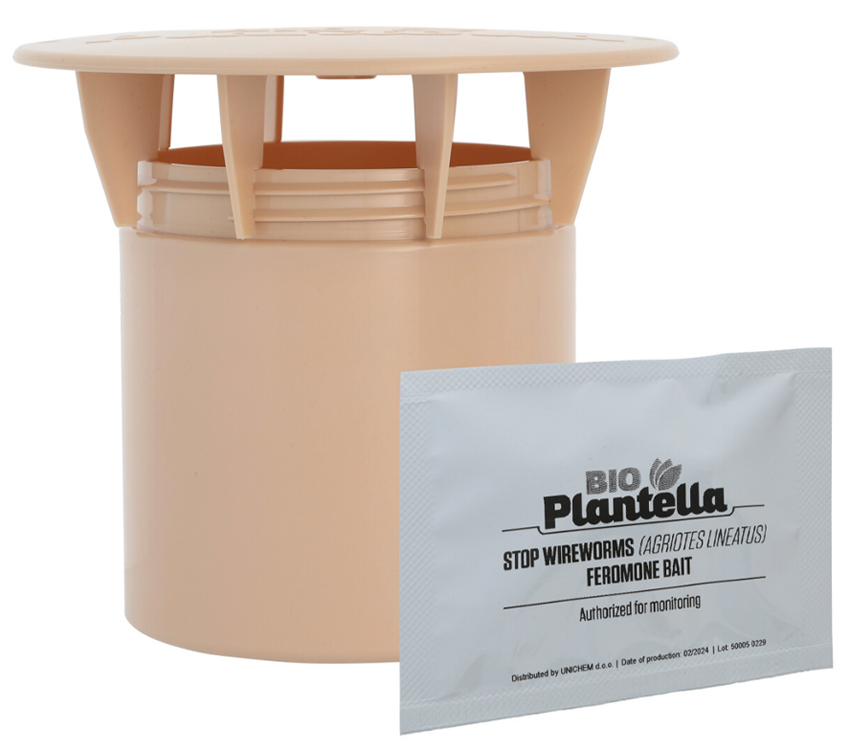 Wireworm trap with pheromone, Traatusside püünis feromooniga, Феромонная ловушка для проволочника
